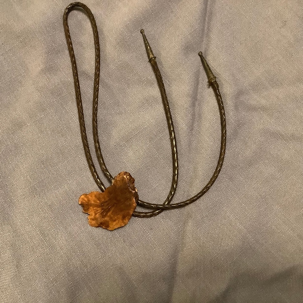 VINTAGE WOOD SLAB BOLO TIE